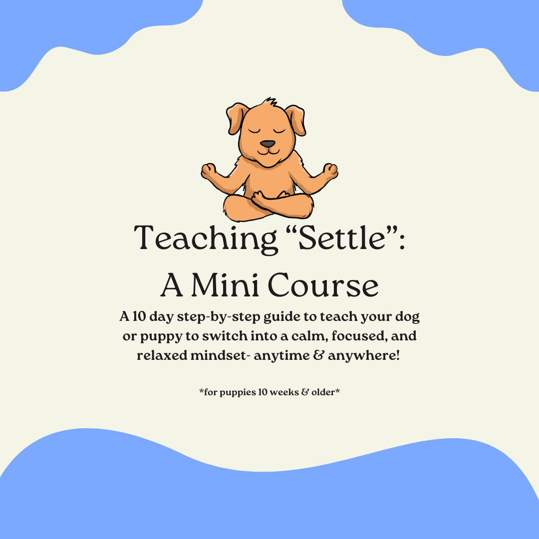 Teaching “Settle”: A Mini Course