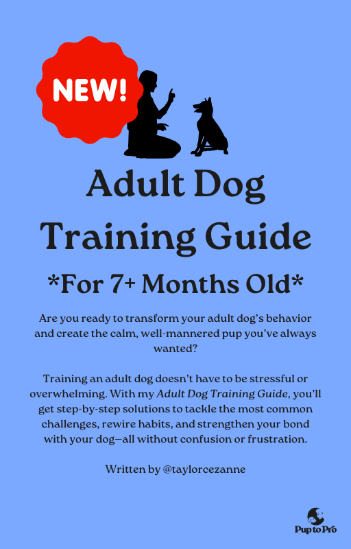 Adult Dog Bundle
