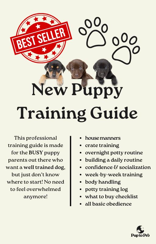 New Puppy Ultimate Bundle