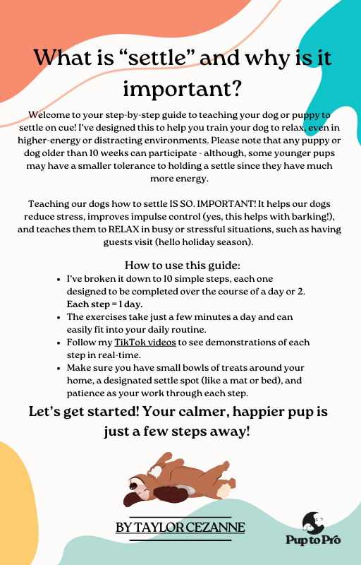 Teaching “Settle”: A Mini Course