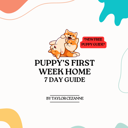 *FREE* Puppy’s First Week Home
