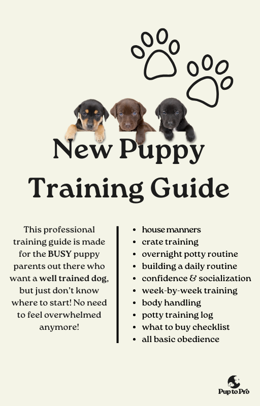 puppy training