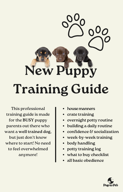 Pawsitively Perfect: Training Your Puppy with a Twist