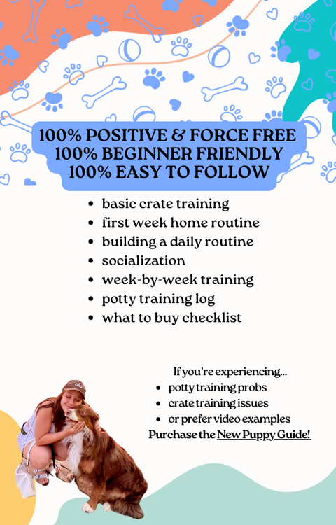 Free Puppy Training Kit