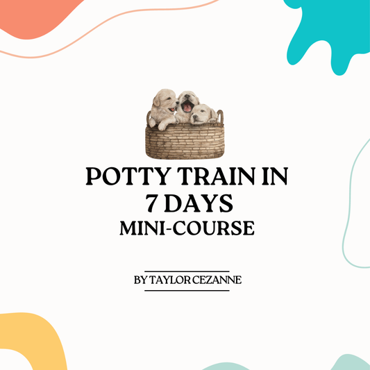 Potty Train in 7 Days