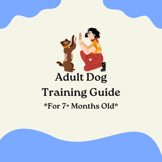 Adult Dog Training Guide