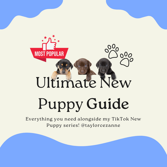 Ultimate New Puppy Training Guide