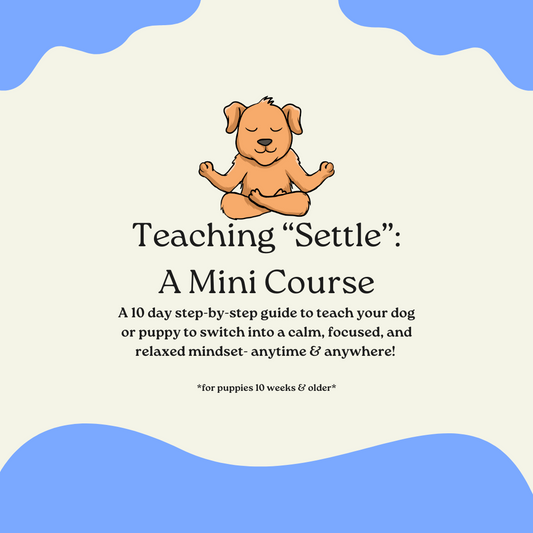 Teaching “Settle”: A Mini Course