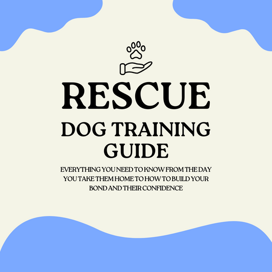 Rescue Dog Training Guide