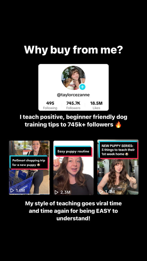 Free Puppy Training Kit