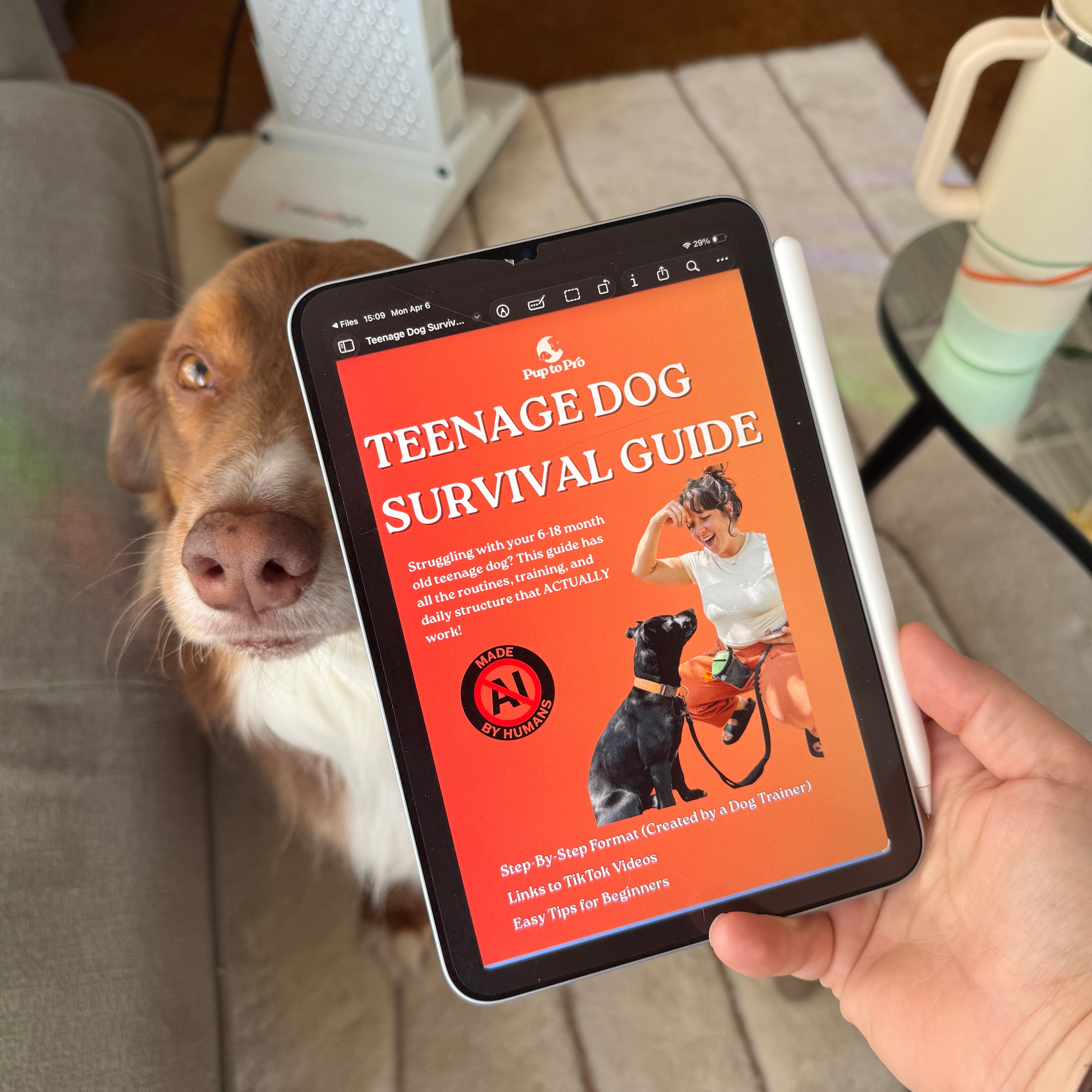 Teenage Dog Survival Guide