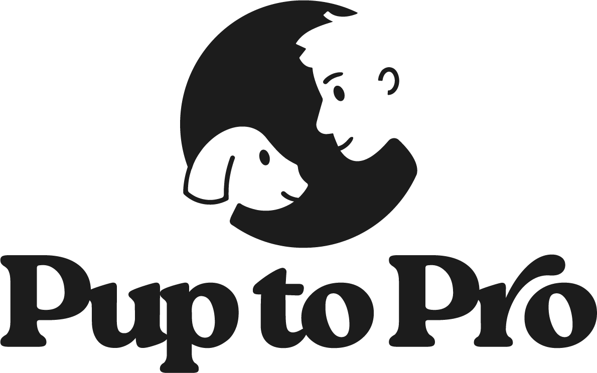 Products PuptoPro products-puptopro