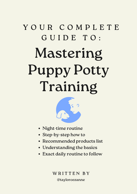 Mastering Puppy Potty Training PuptoPro