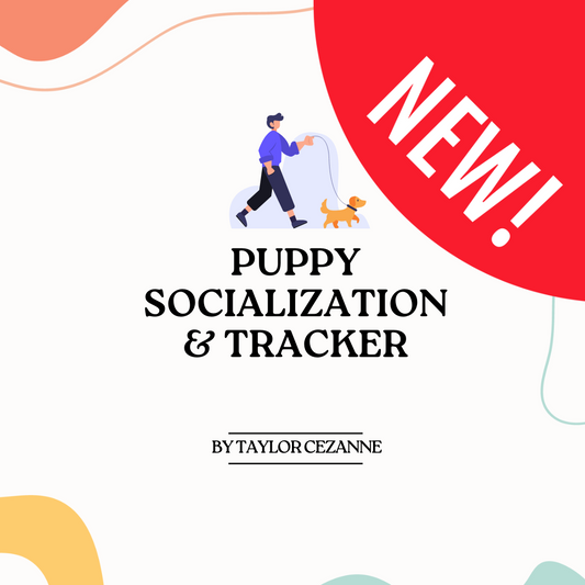 Puppy Socialization + Tracker