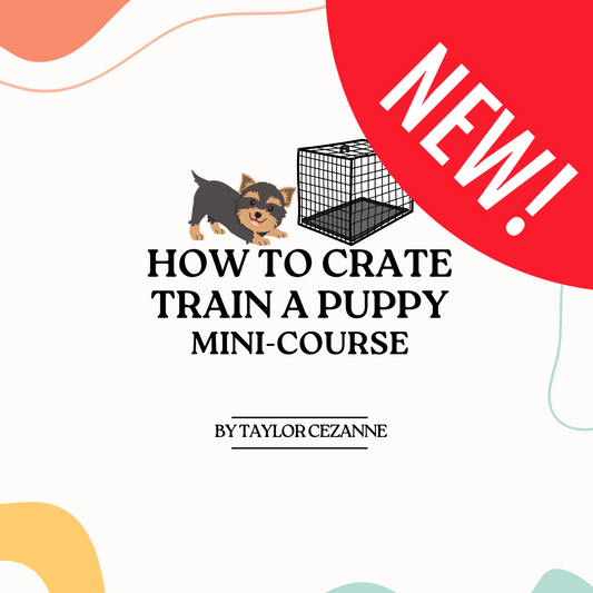 How to Crate Train a Puppy