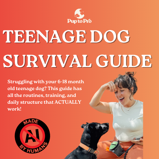 Teenage Dog Survival Guide