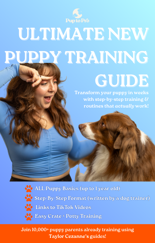 Ultimate New Puppy Training Guide