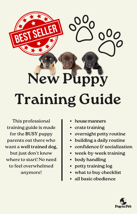 Ultimate New Puppy Training Guide