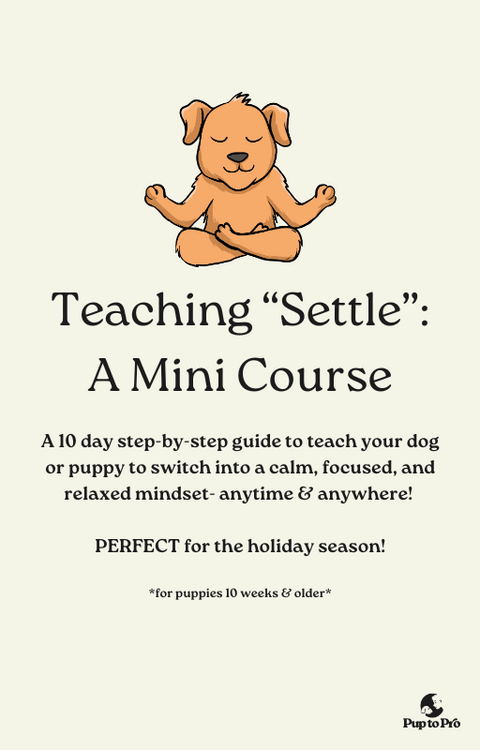 Teaching “Settle”: A Mini Course